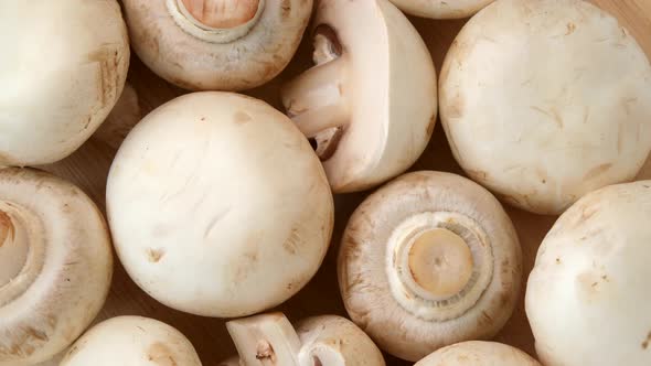 Champignon mushrooms rotating top view