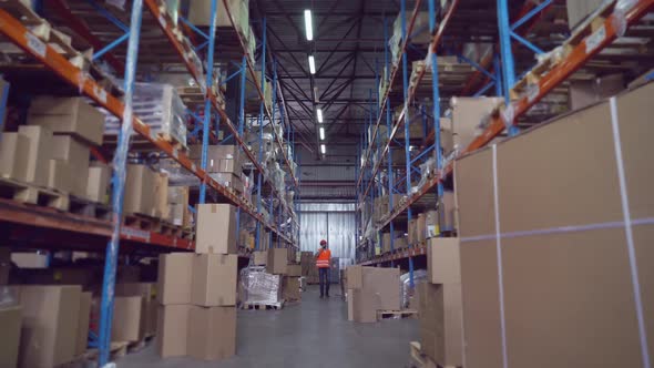 Employee Working in Storehouse