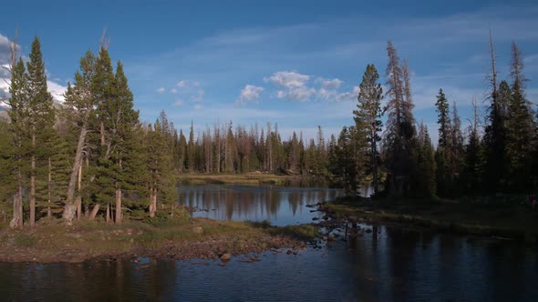 Panning left past pine trees on lake