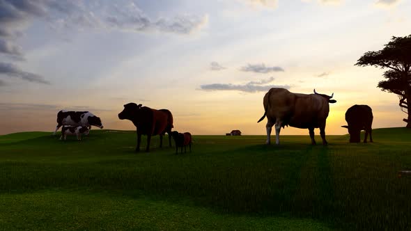 Cattle Grazing at Sunset