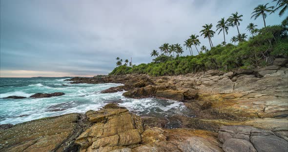  Timelapse View of Palm Trees and Indian Ocean Coastline During Sunset. Island Sri Lanka.