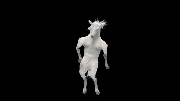 30 White Horse Dancing HD