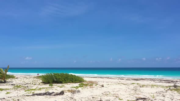 Aerial View on Caribbean Sea Shore with Coconut Palm Trees White Sand and Azure Sea Water