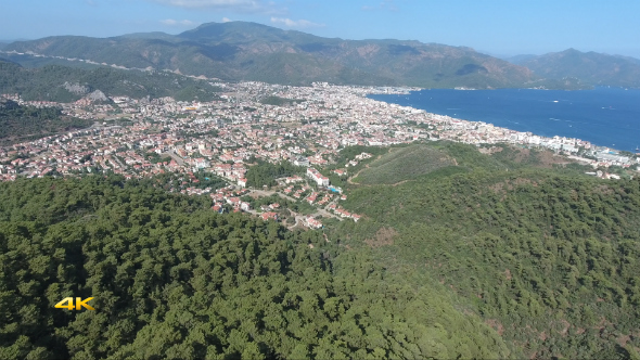 A City on the Edge Forest and Sea