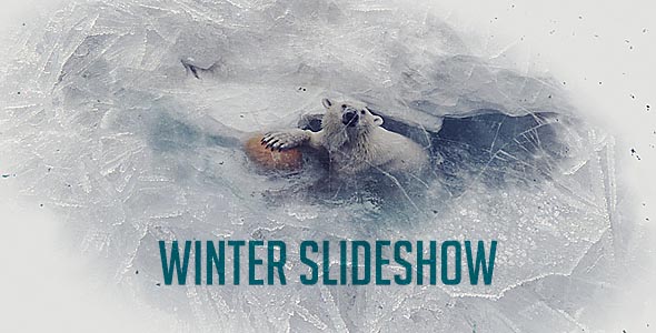Winter Project Slideshow