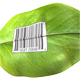 Barcode on leaf - GraphicRiver Item for Sale