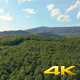 Aerial Fly Above Forest in Nature 01 - VideoHive Item for Sale