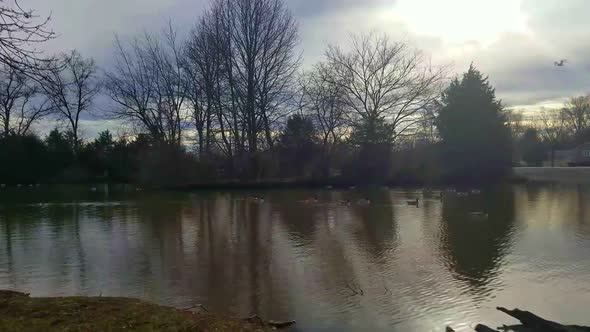 Some nature scenes of the sun peaking through the clouds onto the ripples of a lake as birds and gee