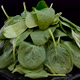 Heap of fresh and green spinach leaves rotating on black background - VideoHive Item for Sale