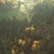 Black Forest at Autumn - VideoHive Item for Sale