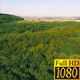 Aerial Fly Above Forest in Nature 06 - VideoHive Item for Sale