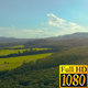 Aerial Fly Above Forest in Nature 07 - VideoHive Item for Sale