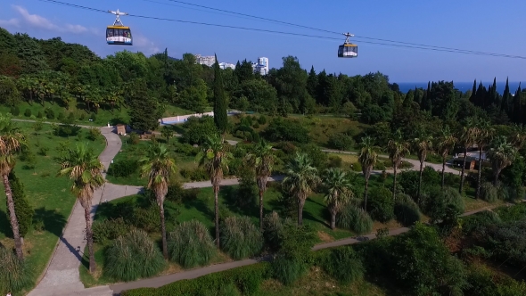 Aerial: Flying Near Cableway in Sochi Arboretum