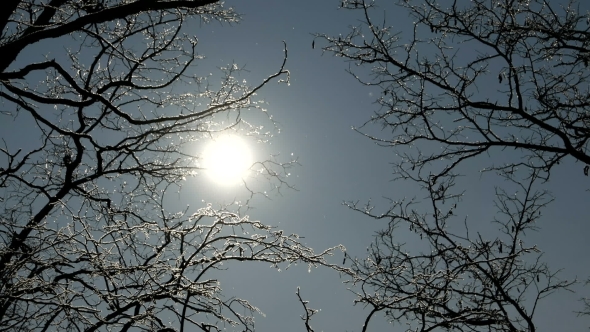 The Snow Sparkles in the Sunlight.