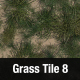 Grass Tile Texture 8 - 3DOcean Item for Sale