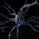 Neurons - VideoHive Item for Sale