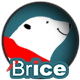 Brice on ice - CodeCanyon Item for Sale