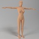 female body base mesh - 3DOcean Item for Sale