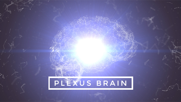 Plexus Brain Rotation #1