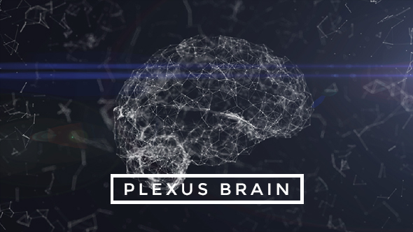 Plexus Brain Rotation #3