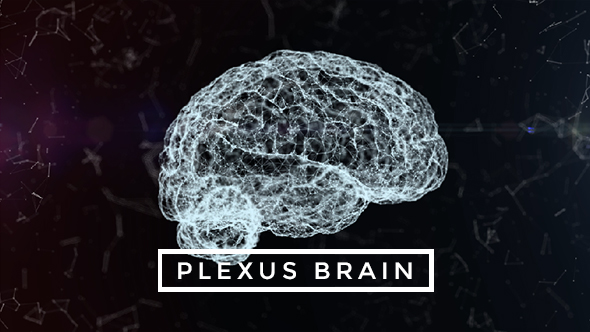 Plexus Brain Rotation #4