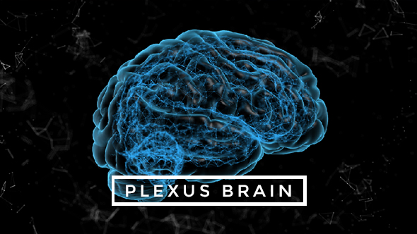 Plexus Brain Rotation #5 alt