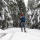 Man Hiker Walking Snow Winter Forest Traveler With Backpack Back Rear View - VideoHive Item for Sale