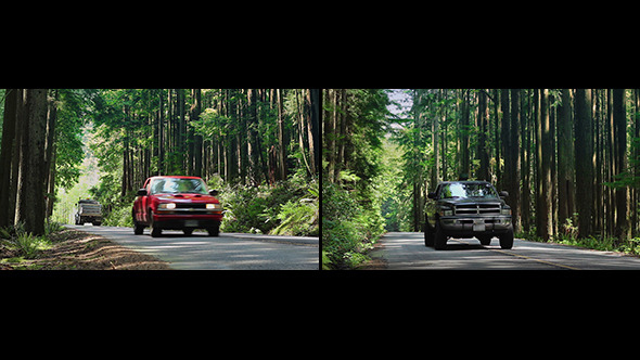 Car And Trucks On Forest Road (2-Pack)
