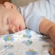 Beautiful Baby Sleeping in Funny Pose on a Bed - VideoHive Item for Sale