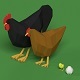Low Poly Rooster, hen, chicken, egg set - 3DOcean Item for Sale