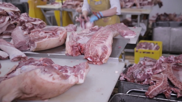 Food Industry, Meat Processing