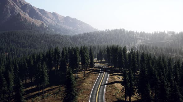 Aerial View on a Winding Road in Summer Day alt