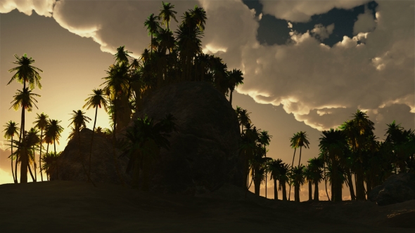 Palms in Desert at Sunset