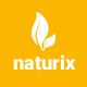 Naturix - Organic Store PSD Template - ThemeForest Item for Sale
