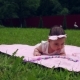 Beautiful Little Girl Lies on a Pink Blanket in the Garden on the Grass on the Stomach - VideoHive Item for Sale