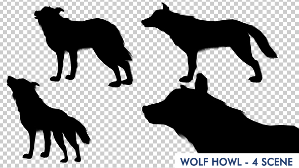 Wolf Howling Silhouette Animation - 4 Scene