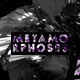 Metamorphosis (Part 3) - VideoHive Item for Sale