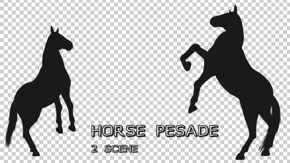 Horse Pesade Silhouettes - 2 Scene alt