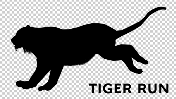 Tiger Silhouette - Run alt