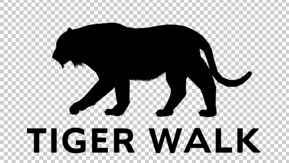 Tiger Silhouette - Walk
