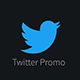 Twitter Promo - VideoHive Item for Sale