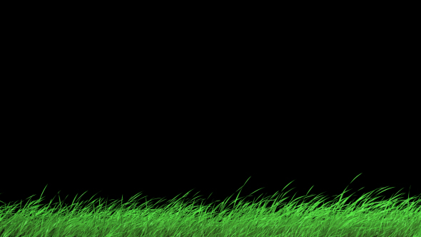 Grass1