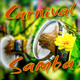 Carnival Samba - AudioJungle Item for Sale