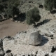 A Tortoise Looking Down From Near the Top of Antique Amphitheatre in Kaunos, Dalyan, Turkey. - VideoHive Item for Sale