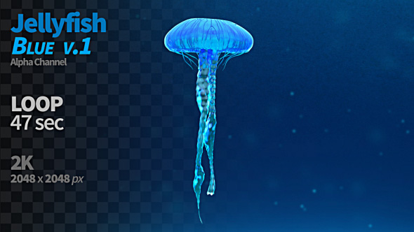Jellyfish Blue 1 alt