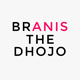 Branis - Personal Portfolio Blog - ThemeForest Item for Sale