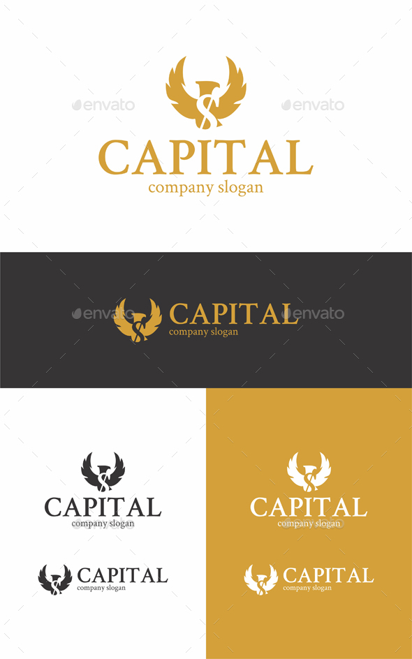 Capital Eagle Logo