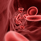 Blood Cells In Vein - VideoHive Item for Sale