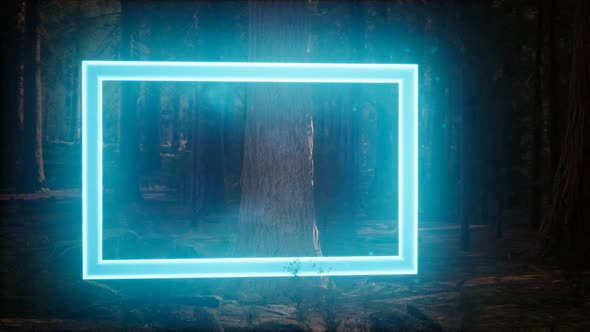 Neon Glowing Rectangle Frame in the Night Forest