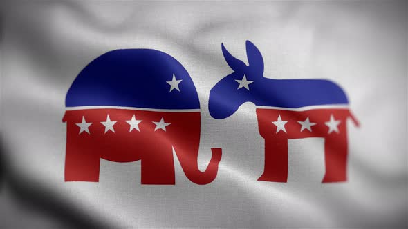 Republican & Democrat Flag Front
